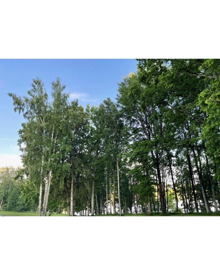 Brivdienu Maja Ezerkalni Myza Dzirtsiyems Exterior photo
